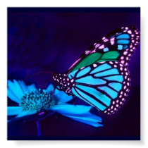 Butterfly in Blue Light Poster posters by elenaind Butterfly in Blue Light Poster posters