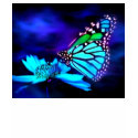 Butterfly in Blue Light T-Shirt