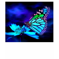 Butterfly in Blue Light T-Shirt by elenaind Butterfly in Blue Light T-Shirt