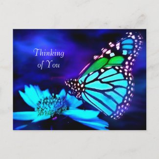 Butterfly in Blue Light - Thinking of You Postcard postcard