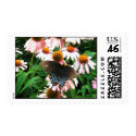 Butterfly in Coneflowers Postage postage