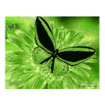 Butterfly in Green Butterfly in Green