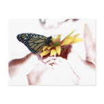 Butterfly in hand post card