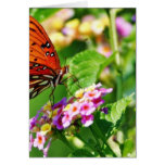 Butterfly In Louisiana Greeting Card
