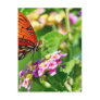 Butterfly In Louisiana Post Cards