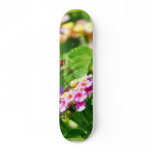 Butterfly In Louisiana Skate Boards
