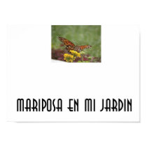 Butterfly in my garden posters by Abuemeche Butterfly in my garden posters
