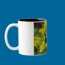 Butterfly in the Esperanza mugs