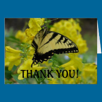 Butterfly in the Esperanza THANK YOU card cards