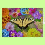 Butterfly in the Garden of Paradise cards