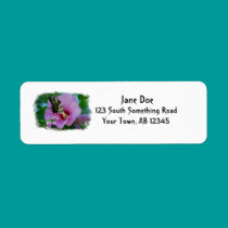 Butterfly in the Rose of Sharon labels