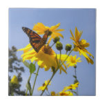 Butterfly in the Sky 2 Tile Trivet