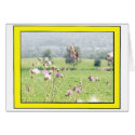 BUTTERFLY IN THISTLE PLANT cards