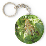Butterfly in Tropical Leaves Keychain