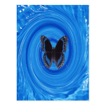 Butterfly in whirlpool, postcard