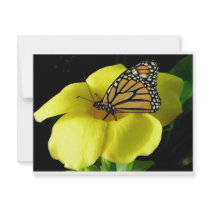 Butterfly invitations by oddbob Butterfly invitations