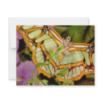 Butterfly invitations by oddbob Butterfly invitations
