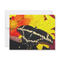 Butterfly invitations by oddbob Butterfly invitations