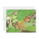Butterfly Invitations