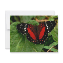 Butterfly invitations by oddbob Butterfly invitations