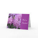 Butterfly Invitation Card by BrensLens Butterfly Invitation Card