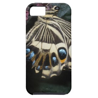 Butterfly iPhone 5/iPhone 5S Case-Mate Tough™ Case