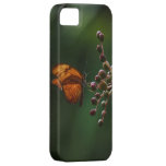 Butterfly iPhone Case iPhone 5 Covers