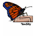 Butterfly, Itsy Bitsy, Butterfly t-shirts by jiveafro Butterfly, Itsy Bitsy, Butterfly t-shirts