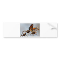 Butterfly Joy Bumper Stickers