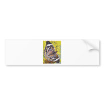 Butterfly.jpg Bumper Sticker