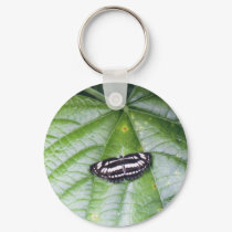 Butterfly Key Chain keychains