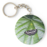 Butterfly Key Chain keychains