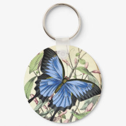 Butterfly keychain