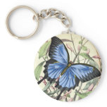 Butterfly Key Chains