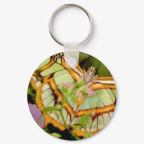 Butterfly keychains by oddbob Butterfly keychains