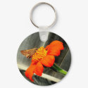Butterfly keychains