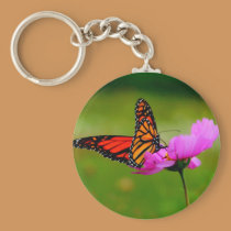 Butterfly Keychain keychains