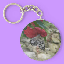 Butterfly keychain keychains
