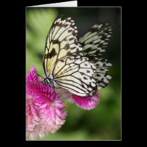 Butterfly Kisses I cards