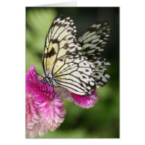 Butterfly Kisses I cards