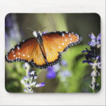 Butterfly Kisses mousepads