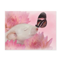 Butterfly Kisses Postcard by Mel669 Butterfly Kisses Postcard
