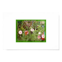 butterfly kisses posters