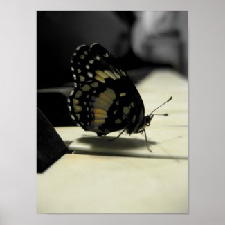 Butterfly Kisses Print