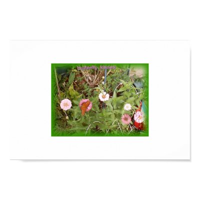 butterfly kisses poster by dunndebbiedo
