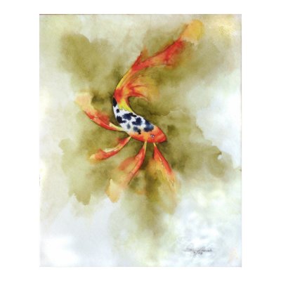 Butterfly Koi Fish Print by dfarishstudio