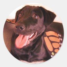 butterfly lab sticker