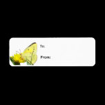 Butterfly labels
