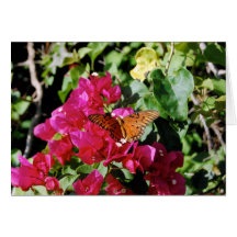 Butterfly Landing Greeting Card