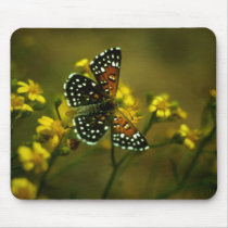Butterfly / Lange's Metalmark mousepads